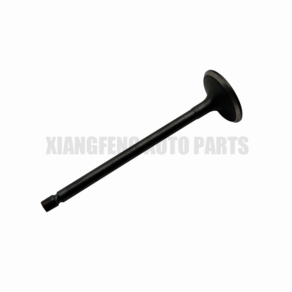 MN176597 Auto Parts Engine Intake Valve for Mitsubishi L200 2005-2015